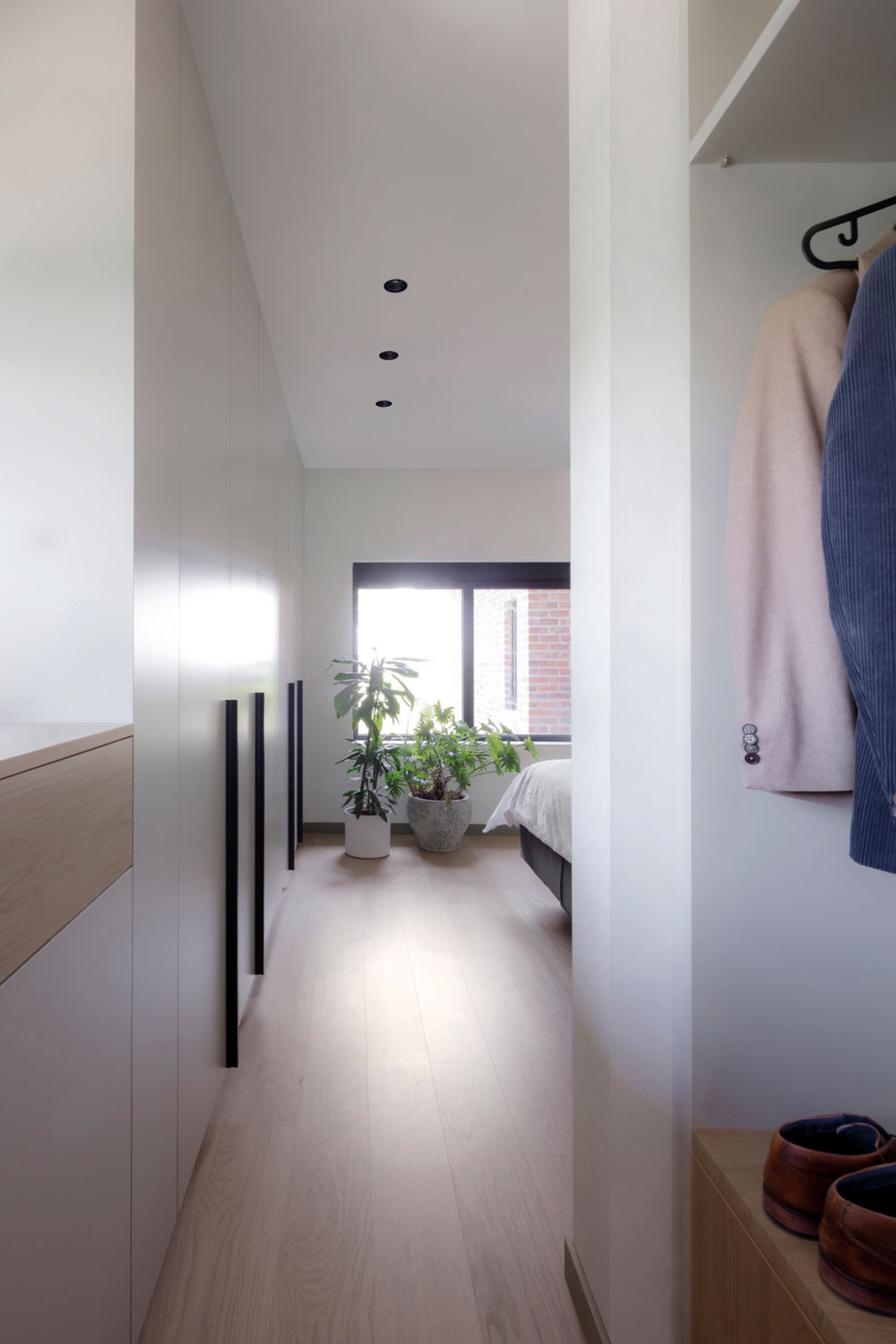 DEEP RINGO - DELTALIGHT