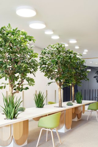 Showroom Decospan (BE)