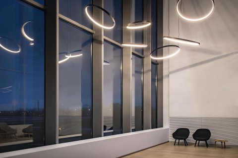 Profiles Support Expert