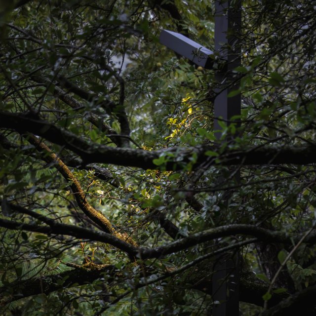 There’s more to light than meets the eye